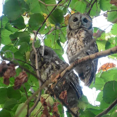 De Charme Piscine Privee A 別荘 *