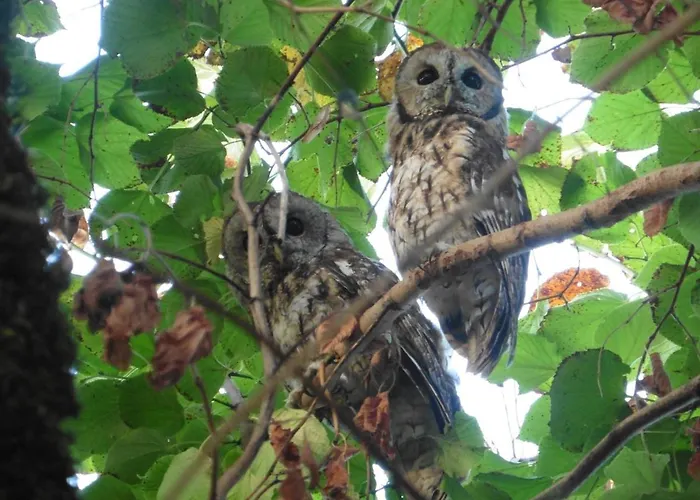 De Charme Piscine Privee A Σπίτι διακοπών *